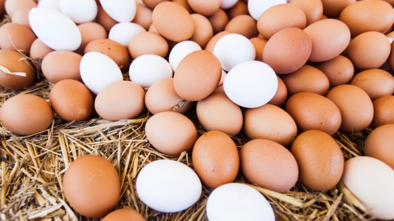 Фото:depositphotos.com