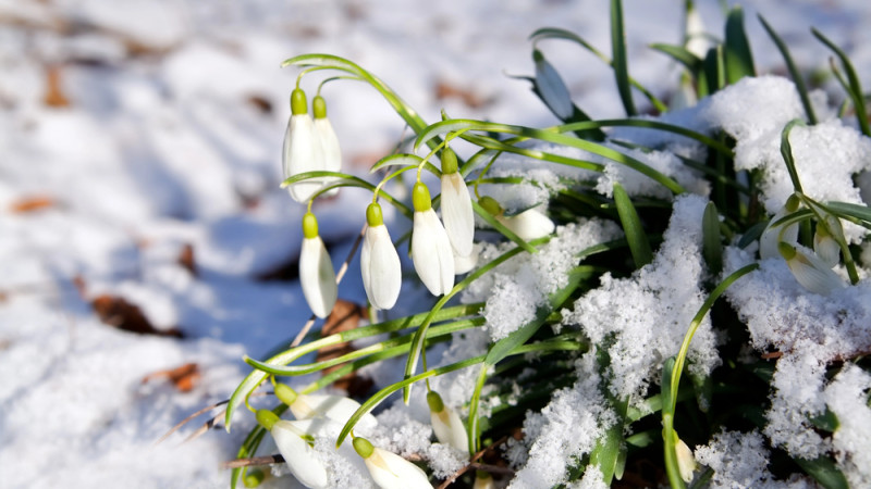 Фото:depositphotos.com