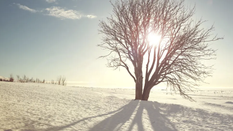 Фото:depositphotos.com