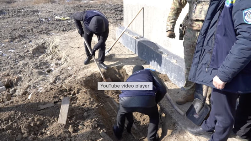 видео кадры