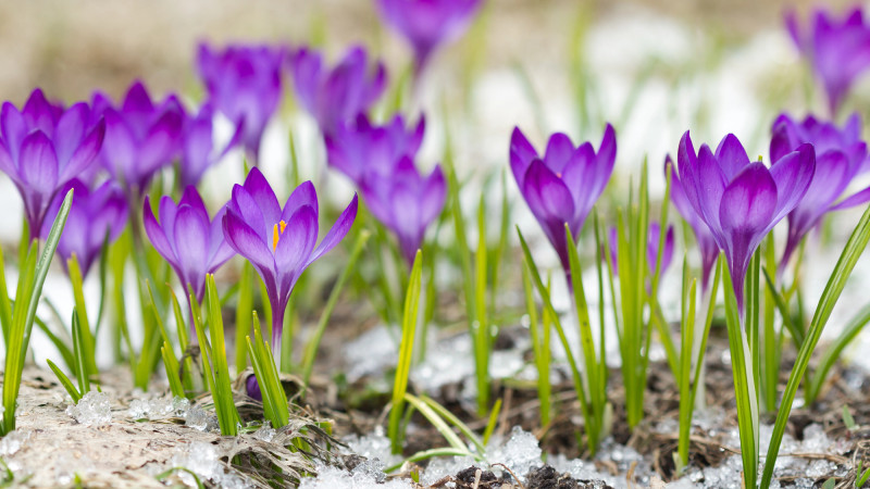 Фото:depositphotos.com