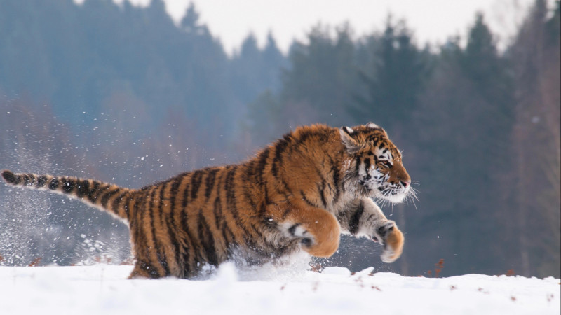 Фото:depositphotos.com