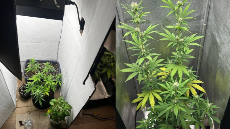 Фото: polisia.kz