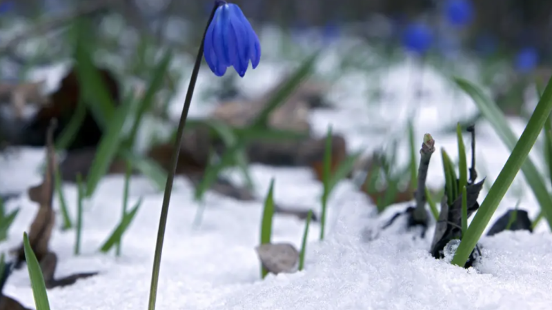 Фото:depositphotos.com