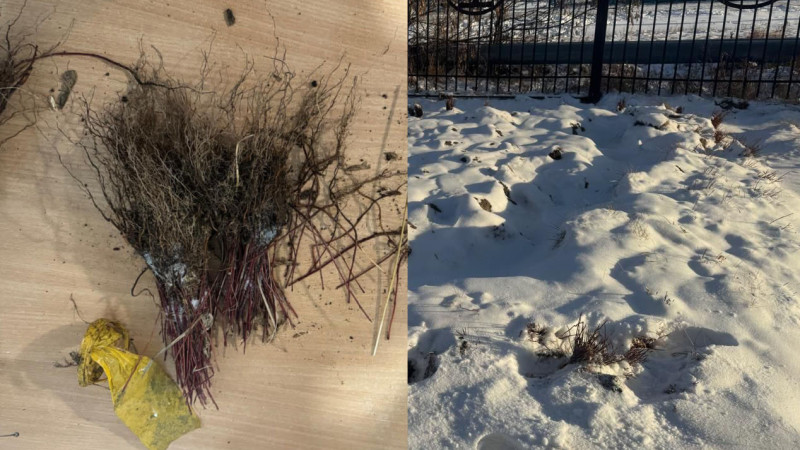 Фотоны Тимирязев ауданының прокуратурасы ұсынды