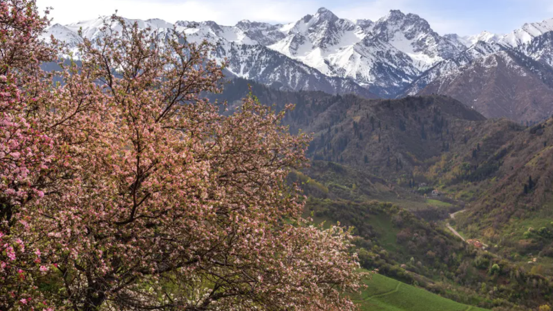 Фото:depositphotos.com