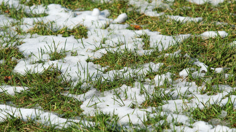 Фото:depositphotos.com