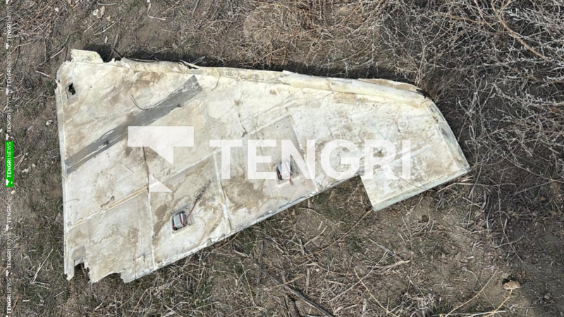 Әлеуметтік желіден