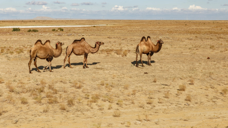 Фото:depositphotos.com