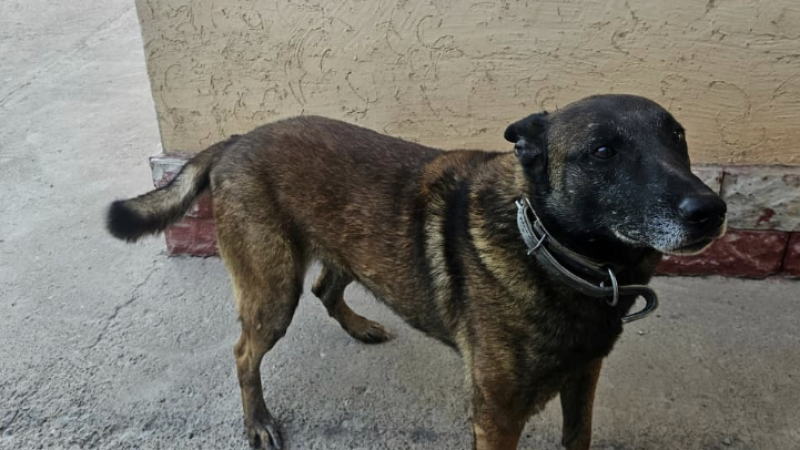 Фото: sauda.e-qazyna