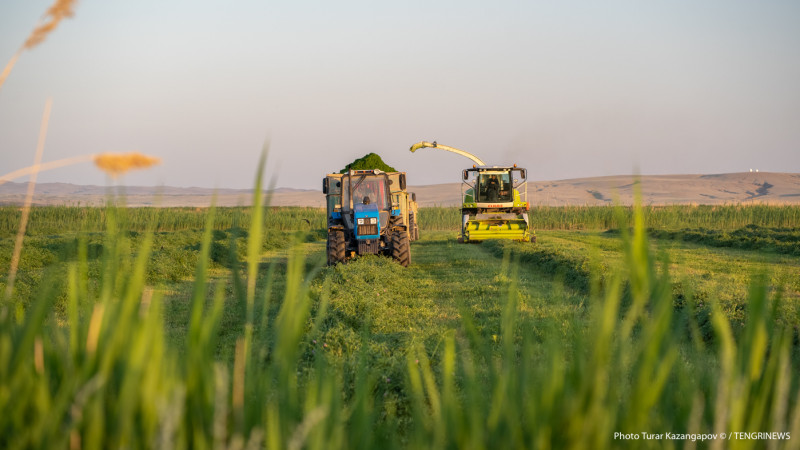 Фото © Tengrinews.kz / Турар Казангапов