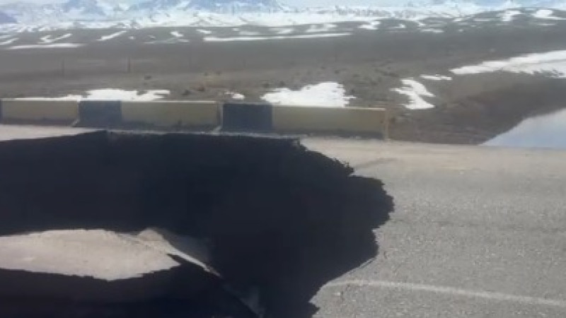 Бейнеден алынған кадрлар