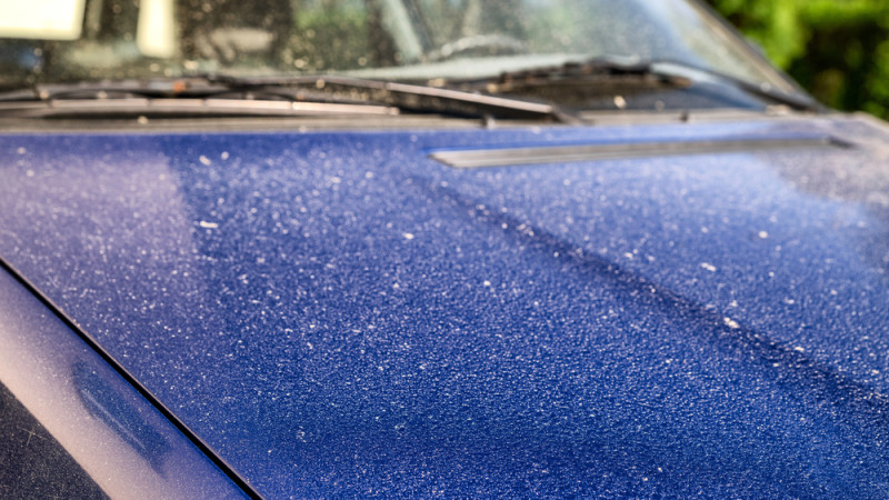 Фото:depositphotos.com