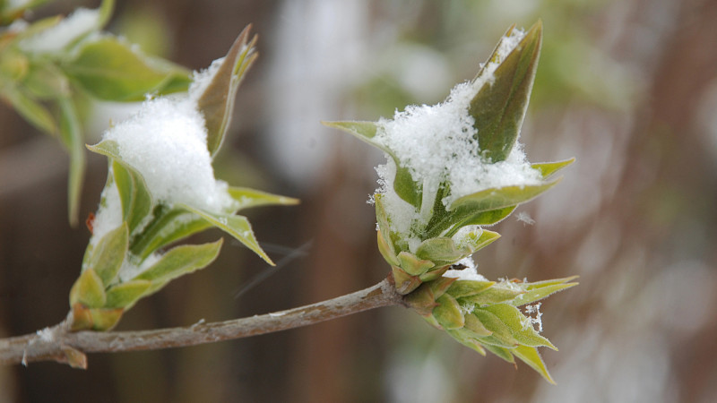 Фото:depositphotos.com