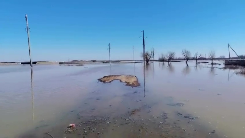 Бейнеден алынған кадр