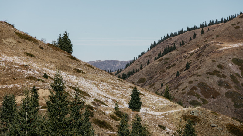 Фото © Tengrinews.kz / Әлихан Сариев