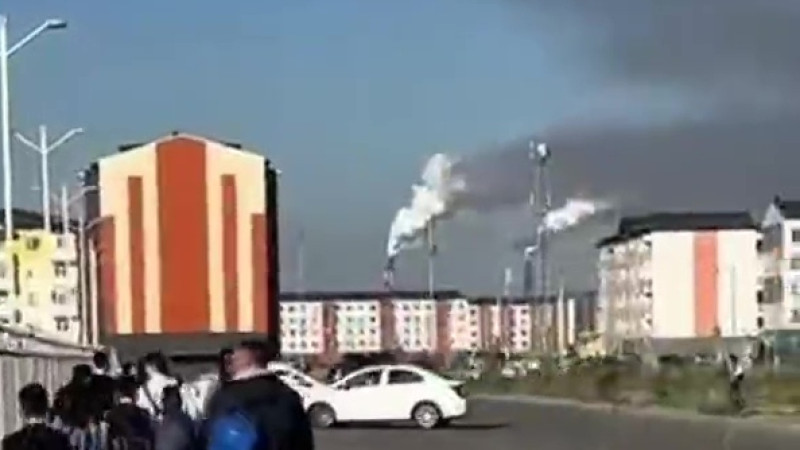 Бейнеден кадр