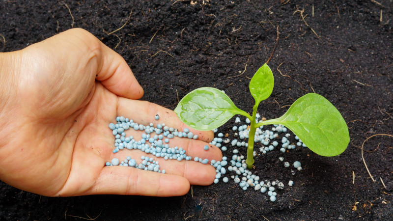 Фото: depositphotos.com