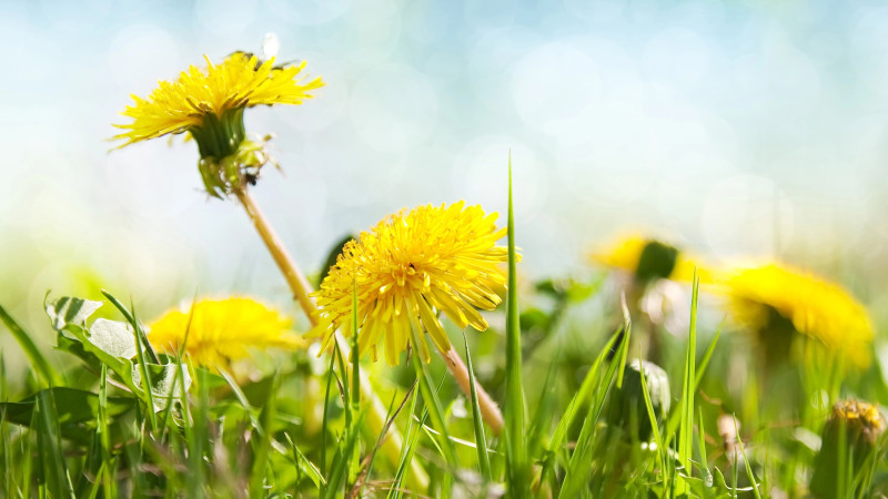 Фото:depositphotos.com