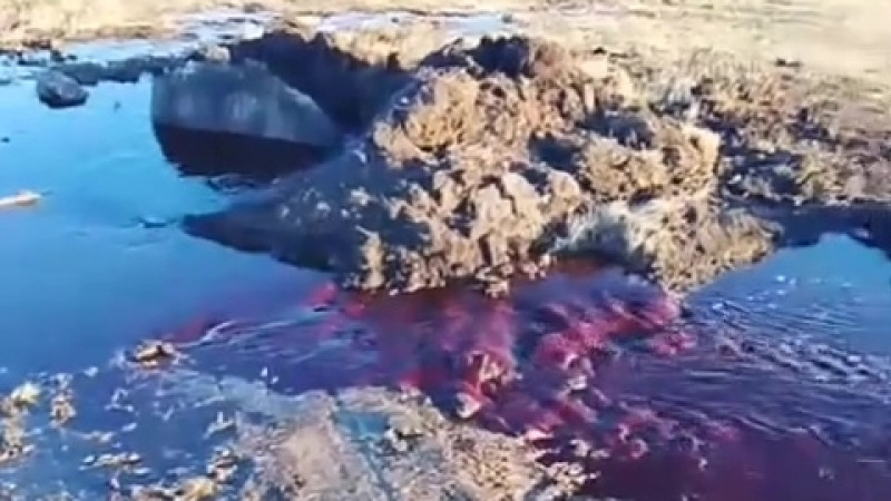 Бейнеден алынған кадр