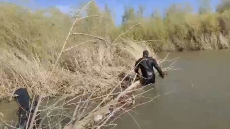 Видеодан кадр/Instagram