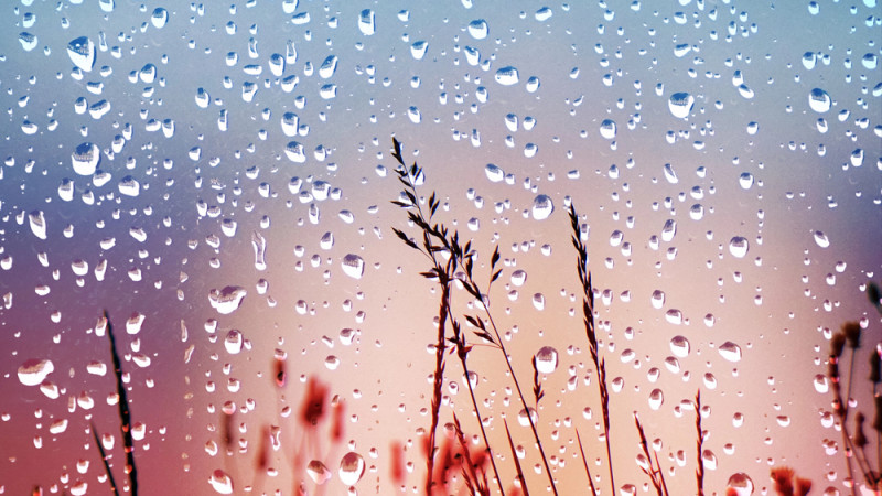 Фото:depositphotos.com