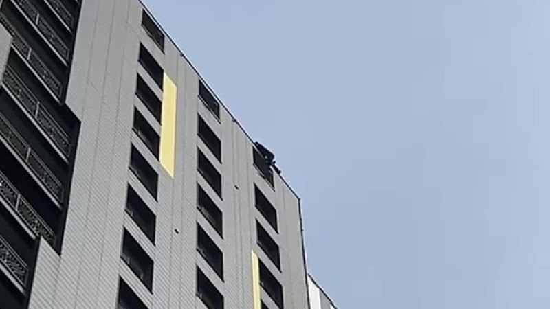 Бейнеден кадр