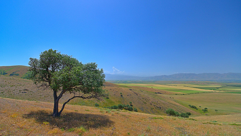 Фото:depositphotos.com