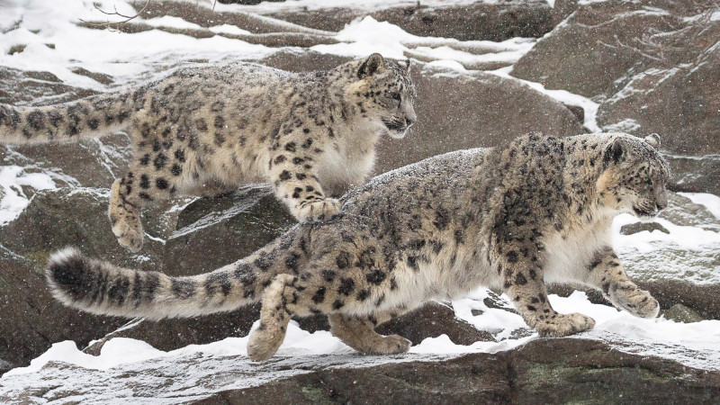 Фото:depositphotos.com