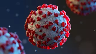 Мутанты коронавируса. Стоит ли беспокоиться?