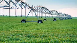 В Павлодарском районе расширяют орошаемые земли и усиливают соцподдержку в АПК
