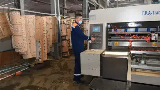 Французские индейки и казахстанский алюминий. Что экспортирует Павлодарская область