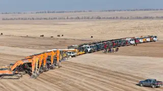 Шымкентте ірі жылыжай кешенінің құрылысы басталды