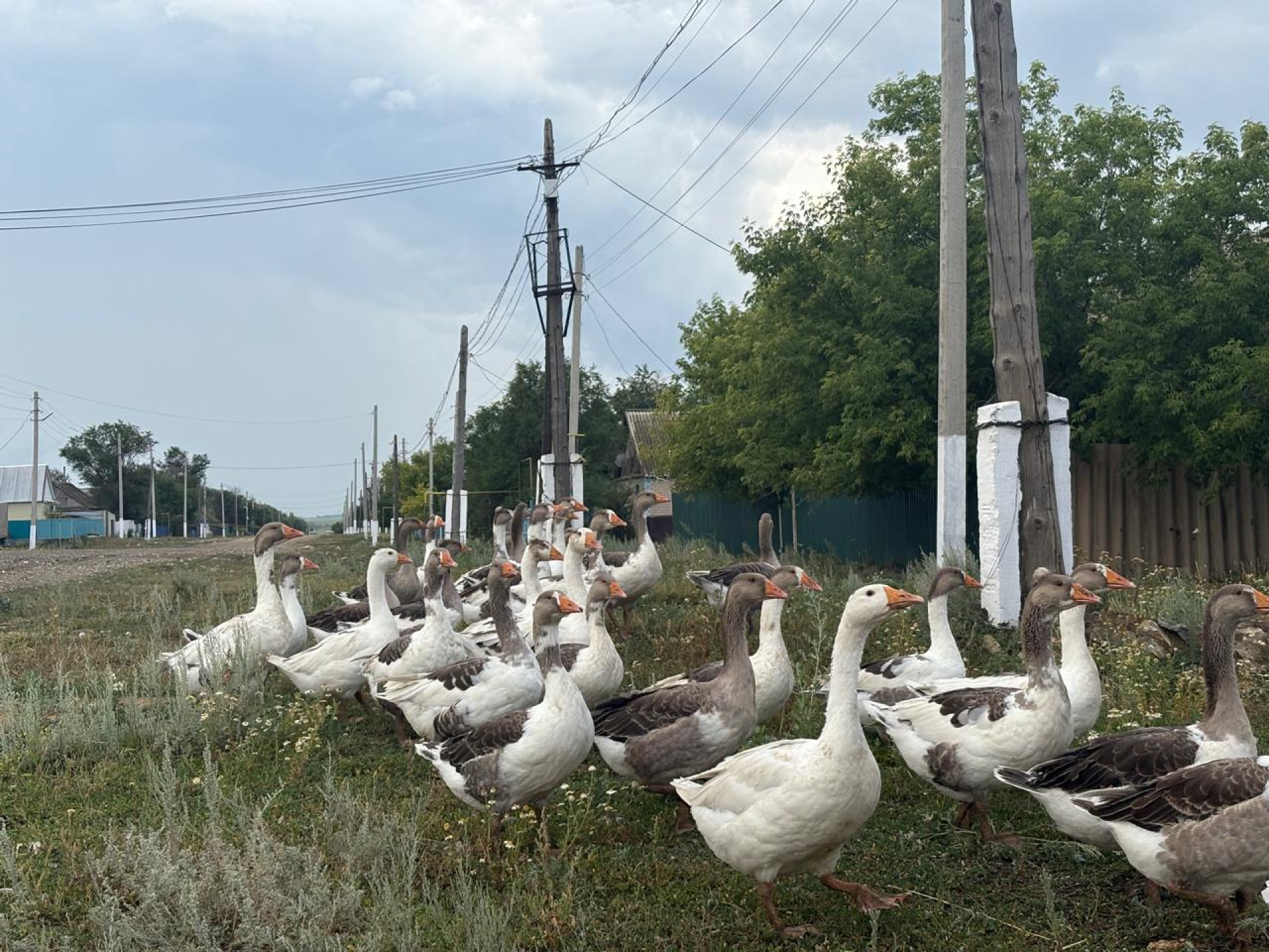 Велиховка, Актюбинская область. Фото: ©️ Tengrinews.kz