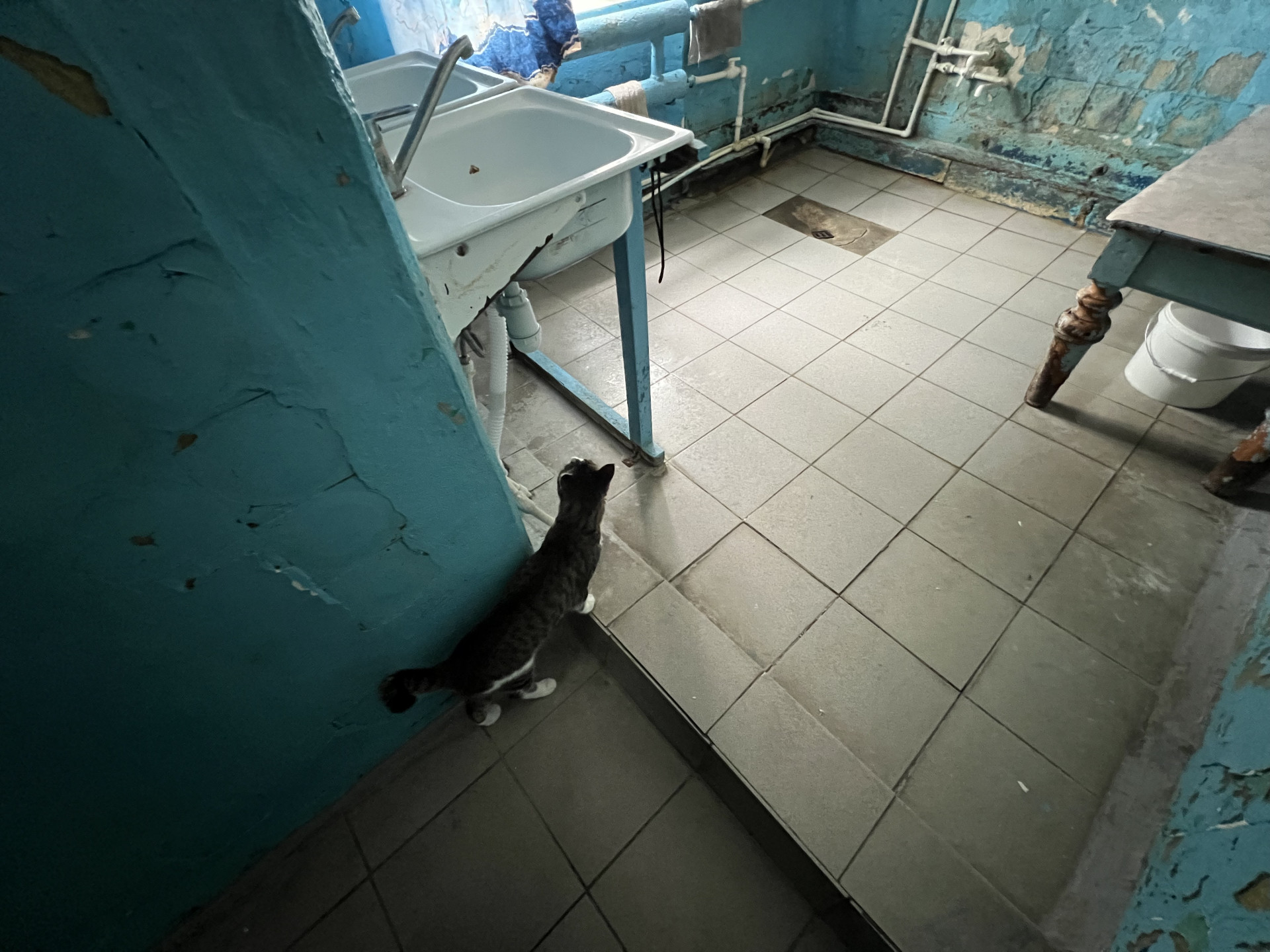 В общежитии, где произошло преступление. Петропавловск, СКО. Фото:©️ Tengrinews.kz / Елена БережнаяЛестница в общежитии, где произошло преступление. Петропавловск, СКО. Фото:©️ Tengrinews.kz / Елена Бережная
