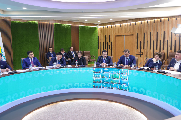 В партии Amanat о планах и проектах на 2025 год - Tengrinews.kz