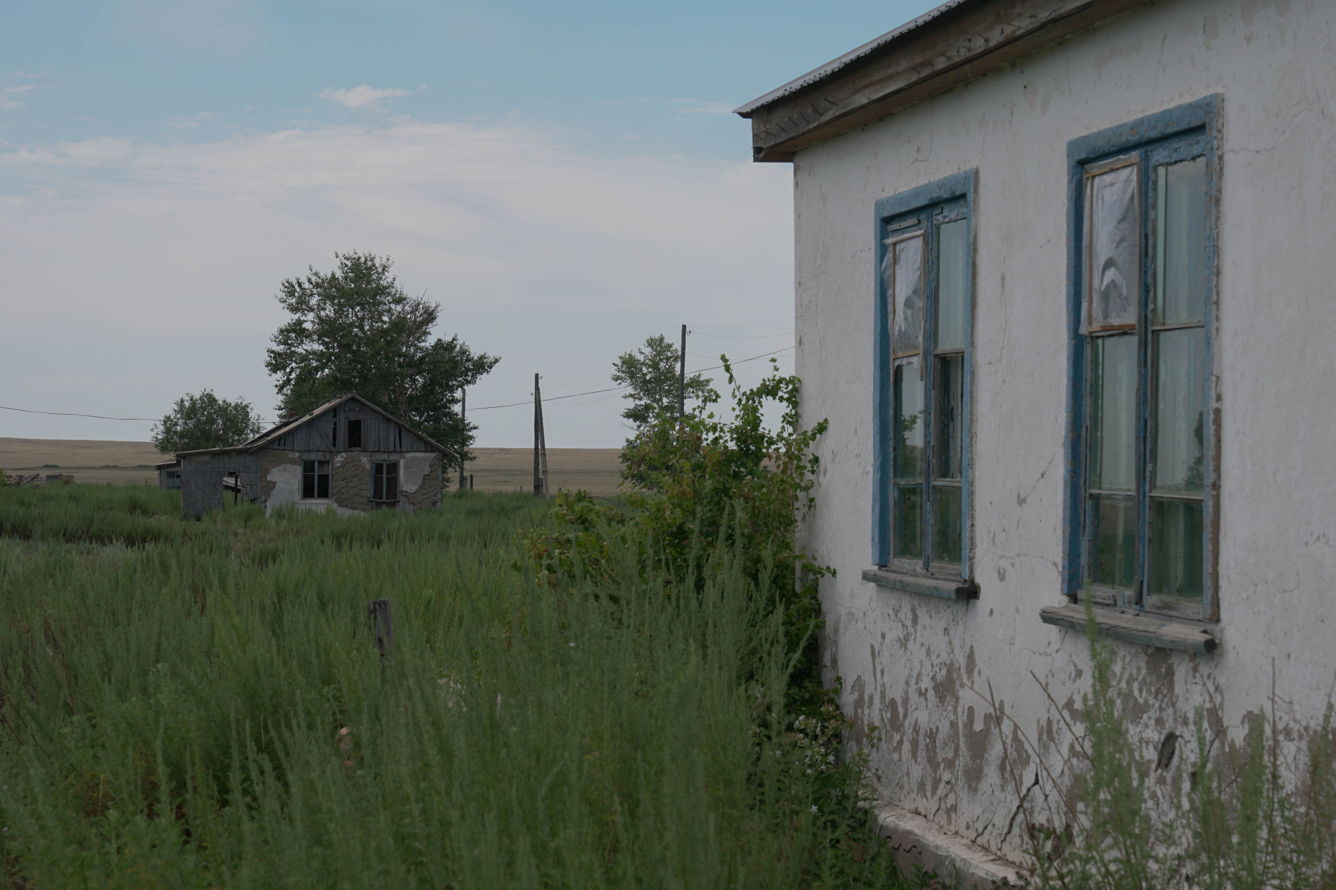 Огороды в Акбулаке заросли травой. Фото:©️ Tengrinews.kz / Маржан Куандыкова