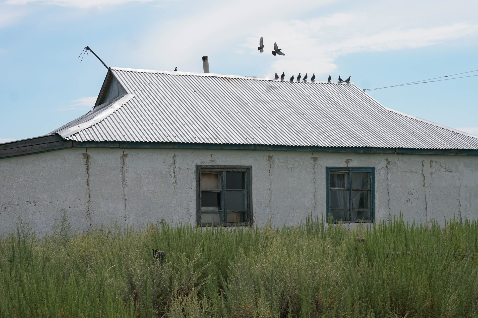 Брошенный дом в Акбулаке. Фото:©️ Tengrinews.kz / Маржан Куандыкова