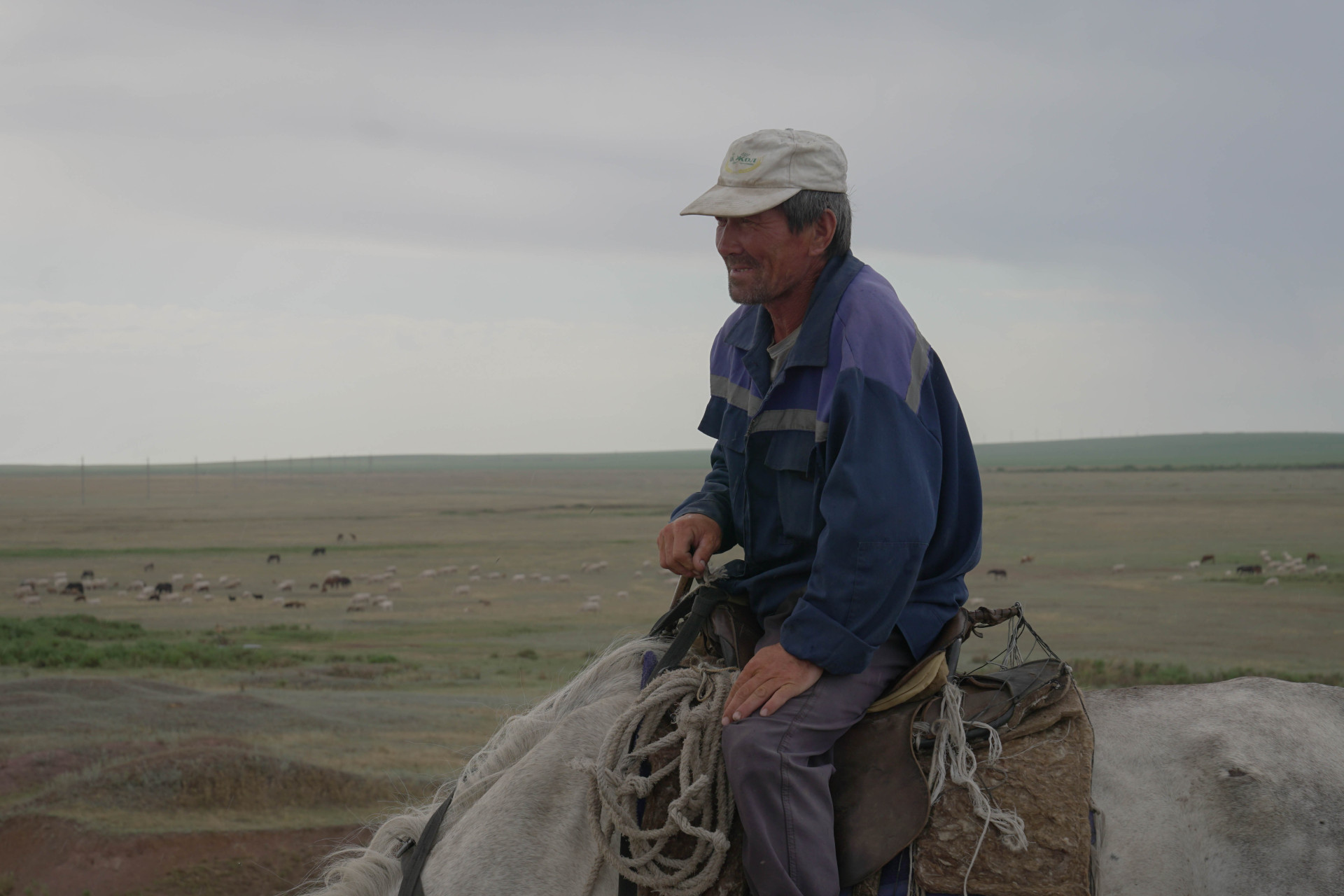 Пастух Бауыржан на лошади. Фото:©️ Tengrinews.kz / Маржан Куандыкова