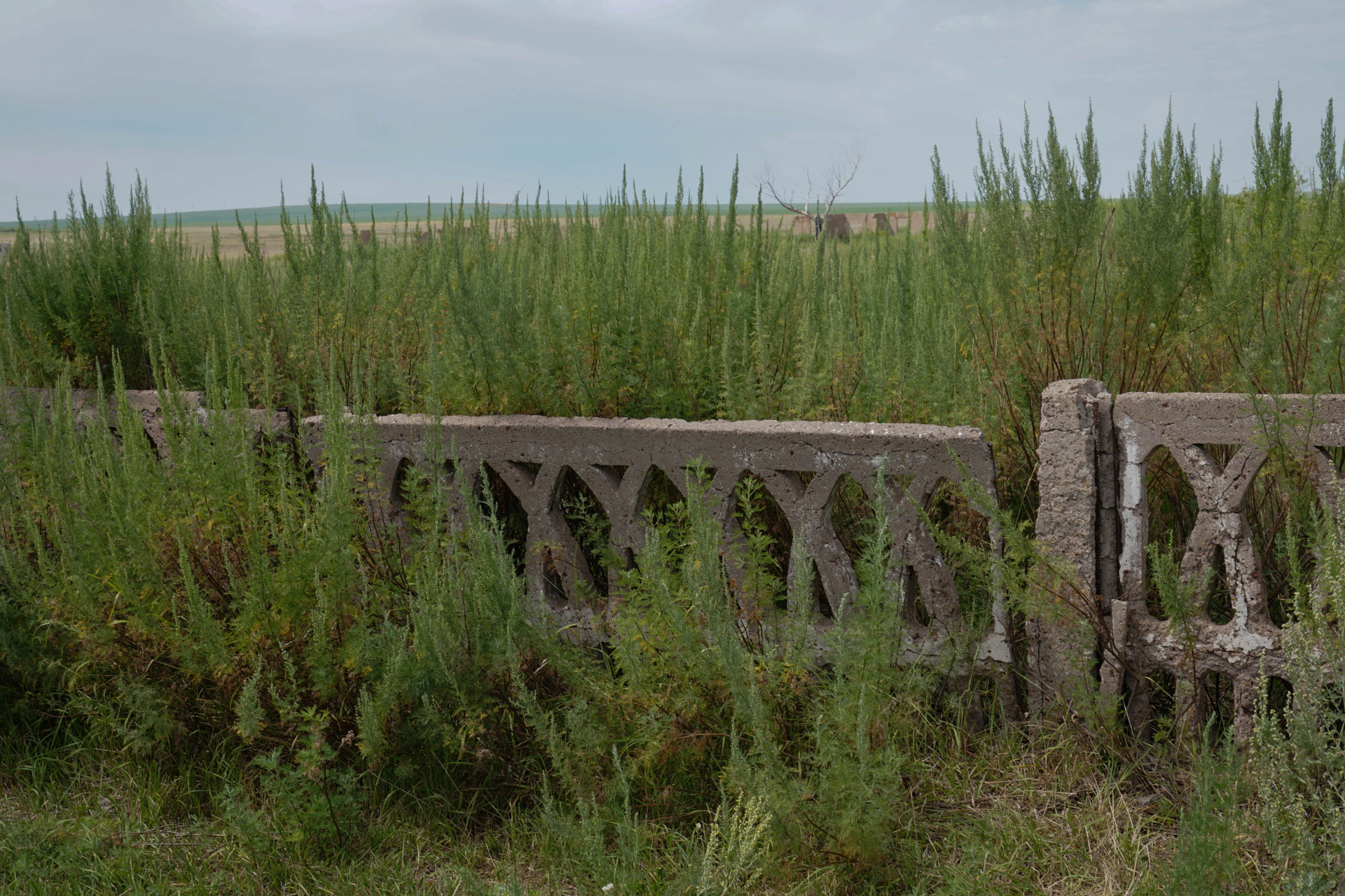 Остатки инфраструктуры в Акбулаке