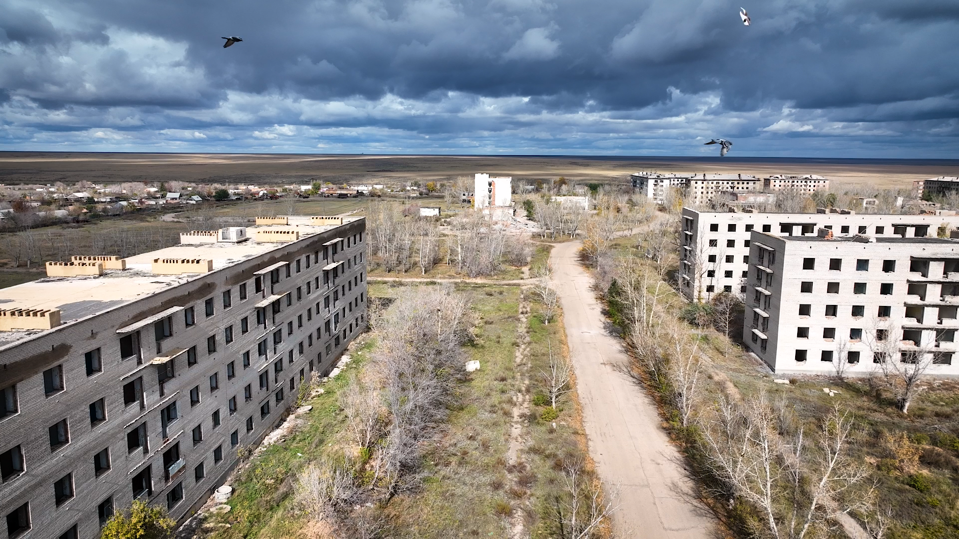 Брошенные многоэтажки в Красногорском, в небе летают птицы