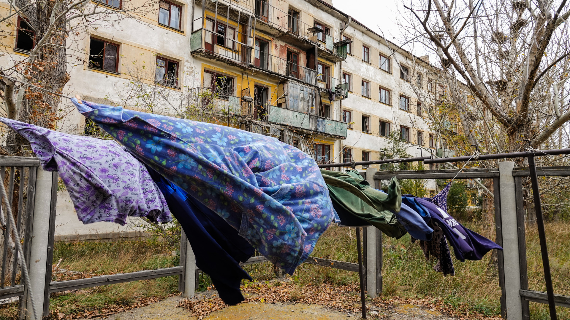Постиранное белье сохнет во дворе жилого дома в Красногорском