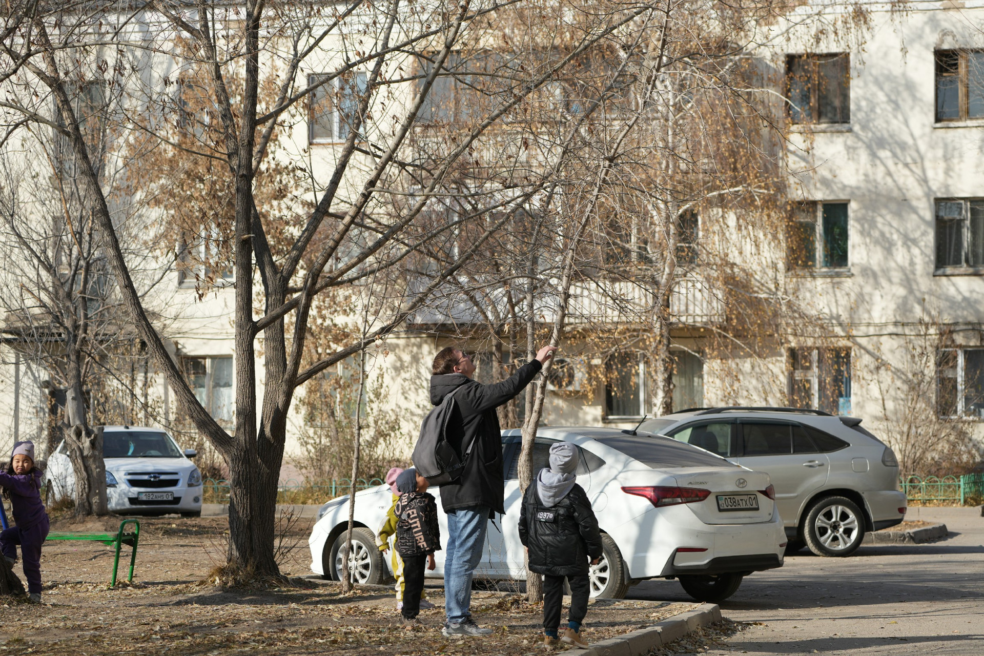 Операция по спасению котёнка с дерева. Фото: ©️ Tengrinews.kz / Маржан Куандыкова