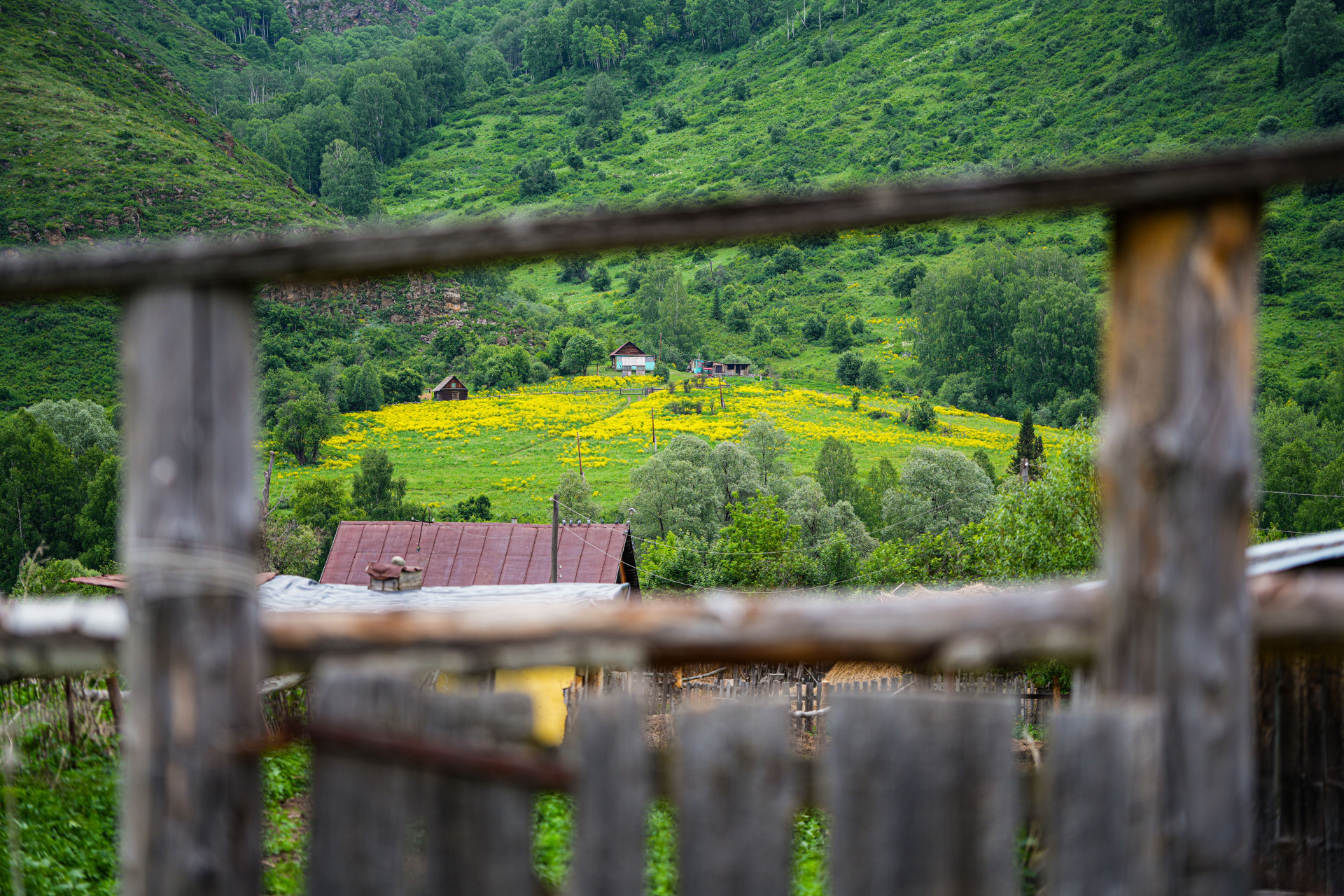 Гостевой дом с пасекой, Коробиха