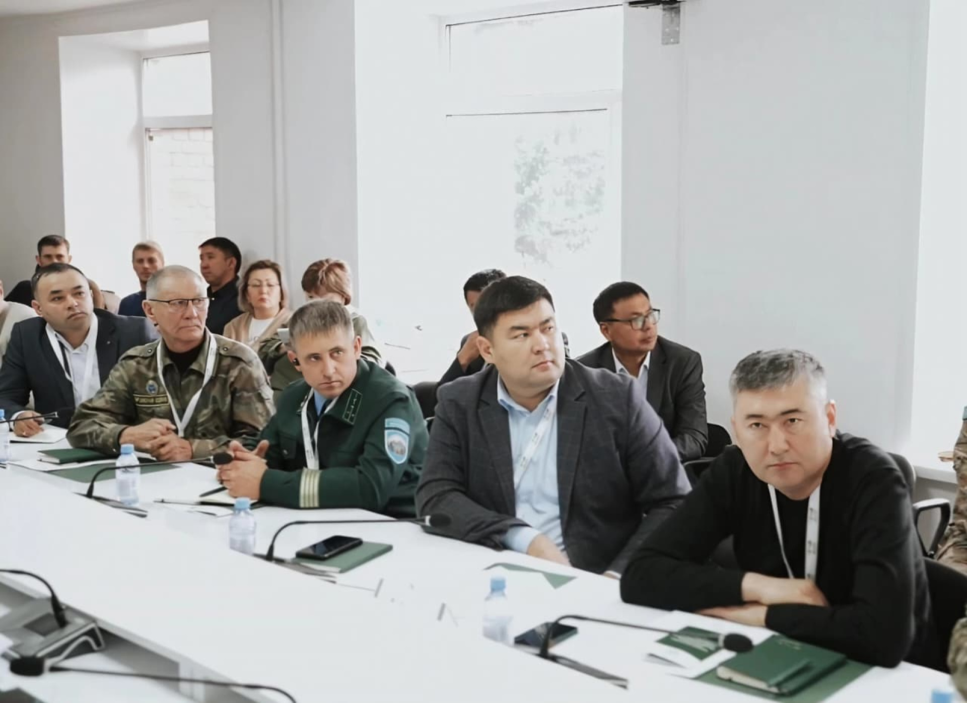 восстановление лесов после пожара в Казахстане