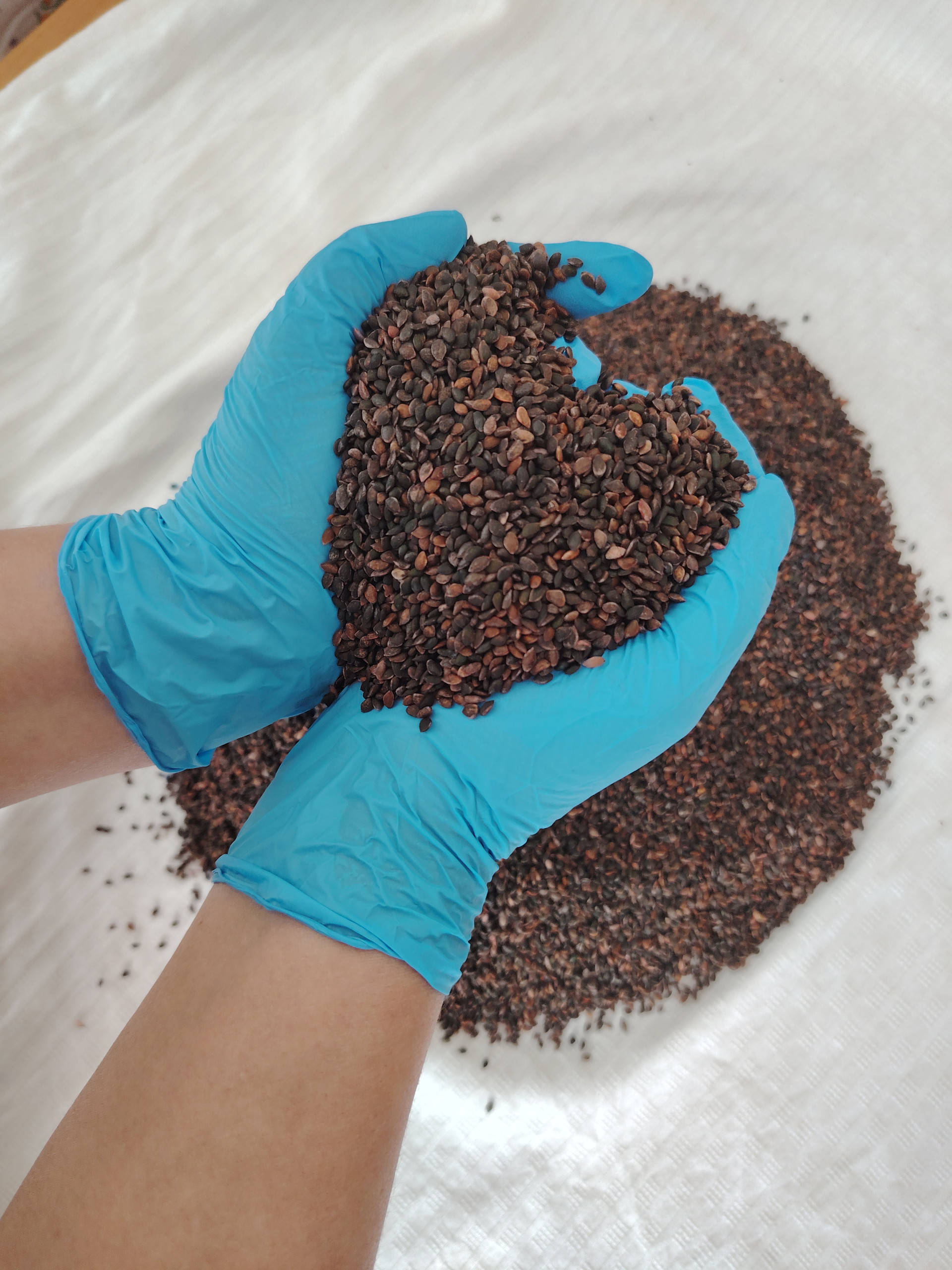 технология из Щучинска