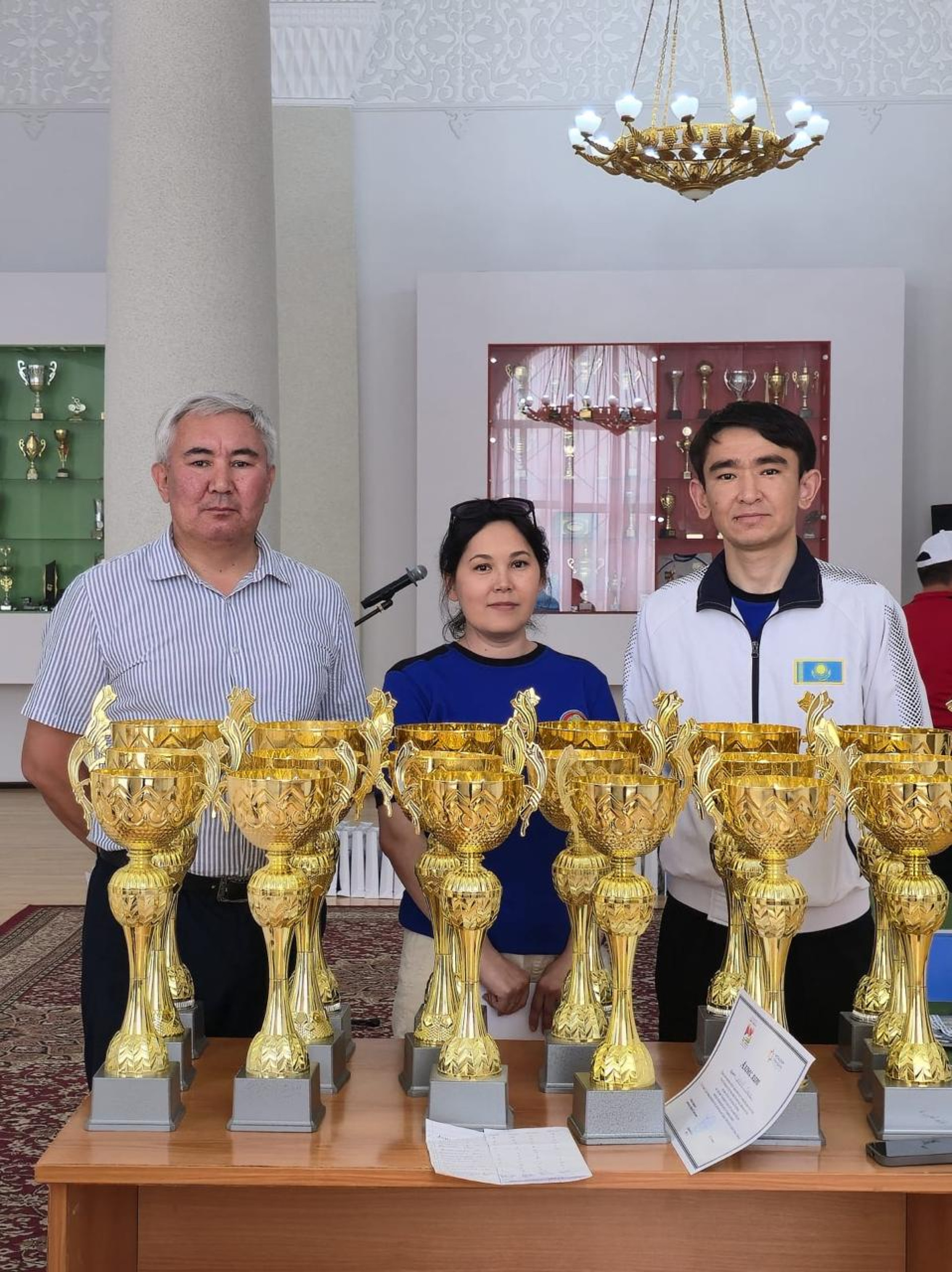 Кубки чемпионата