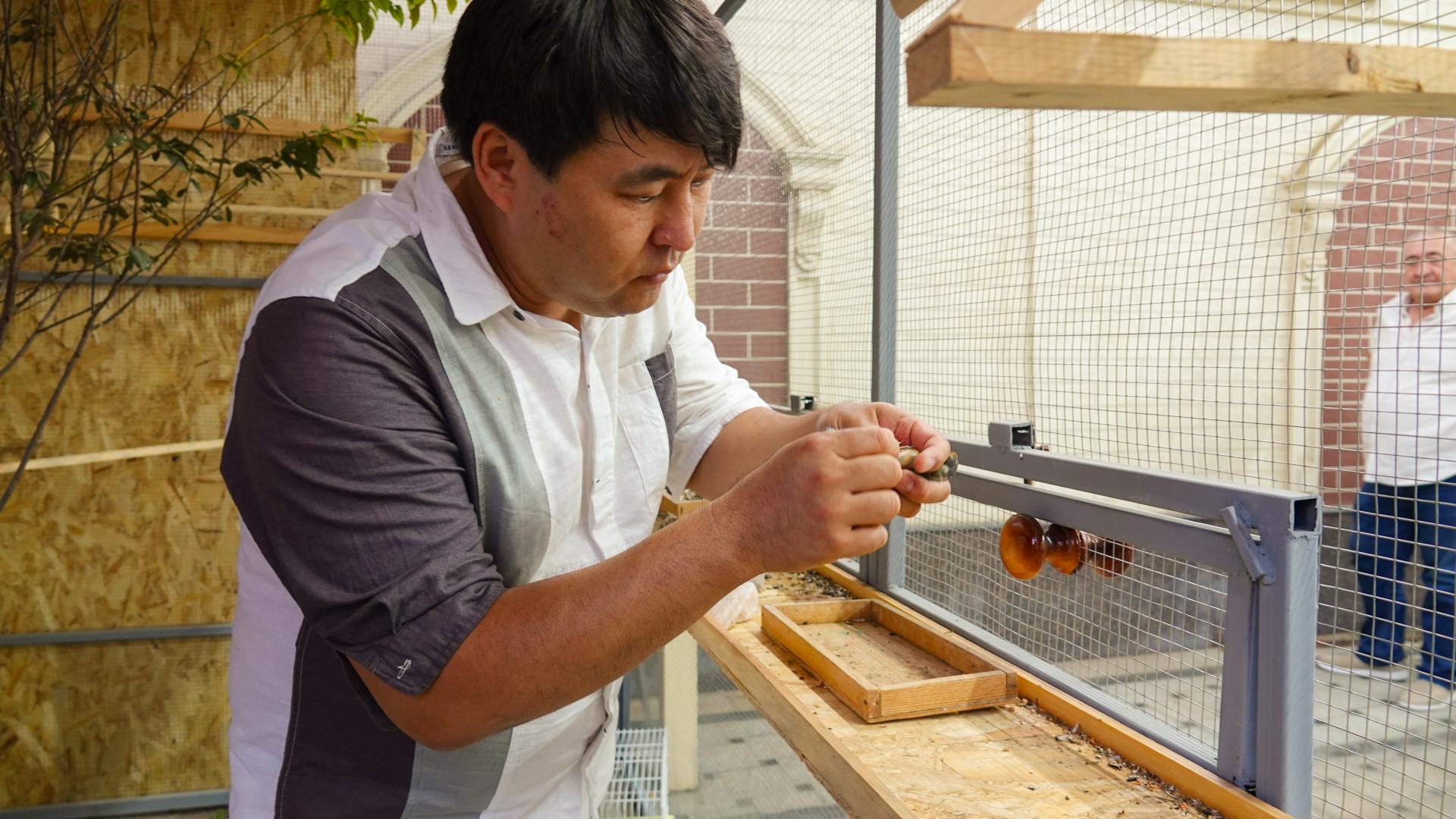 Мужчина стрижет когти дикой птице