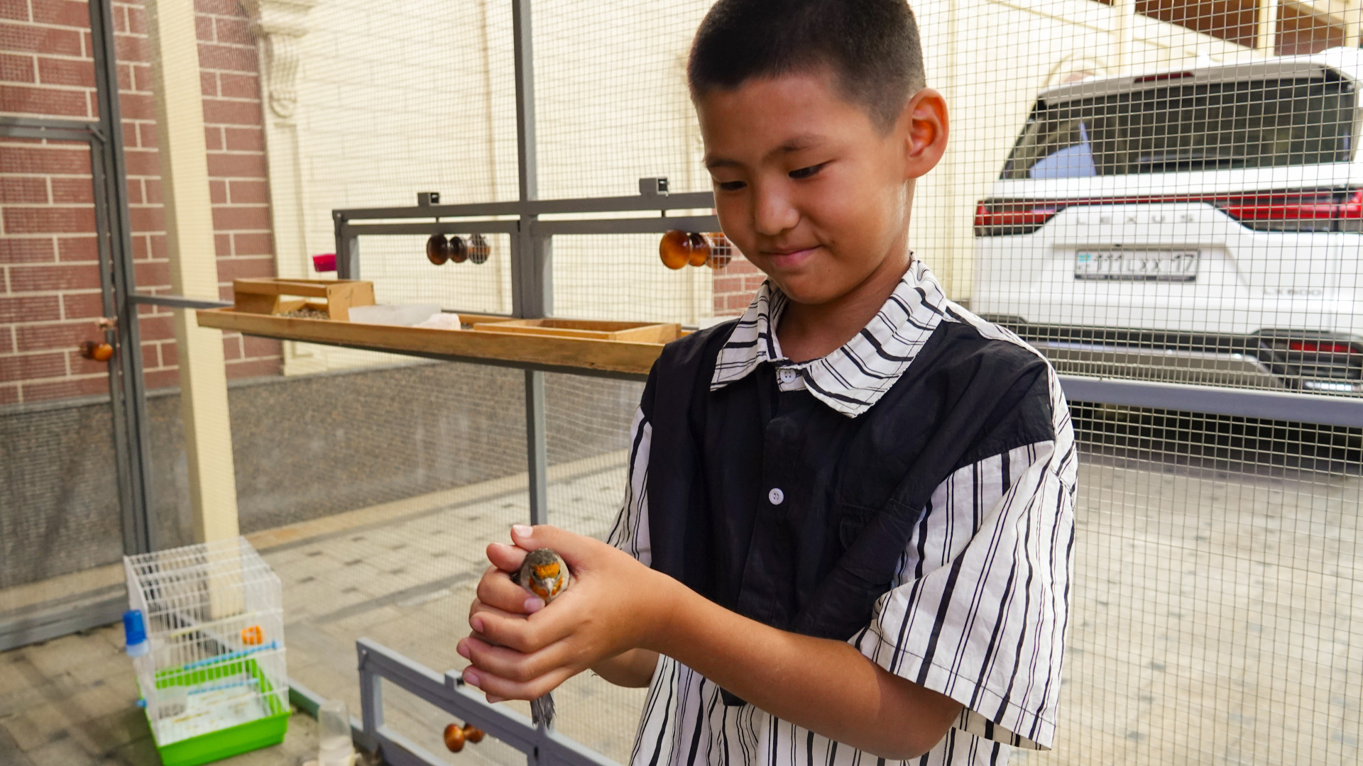 Мальчик держит в руках птицу