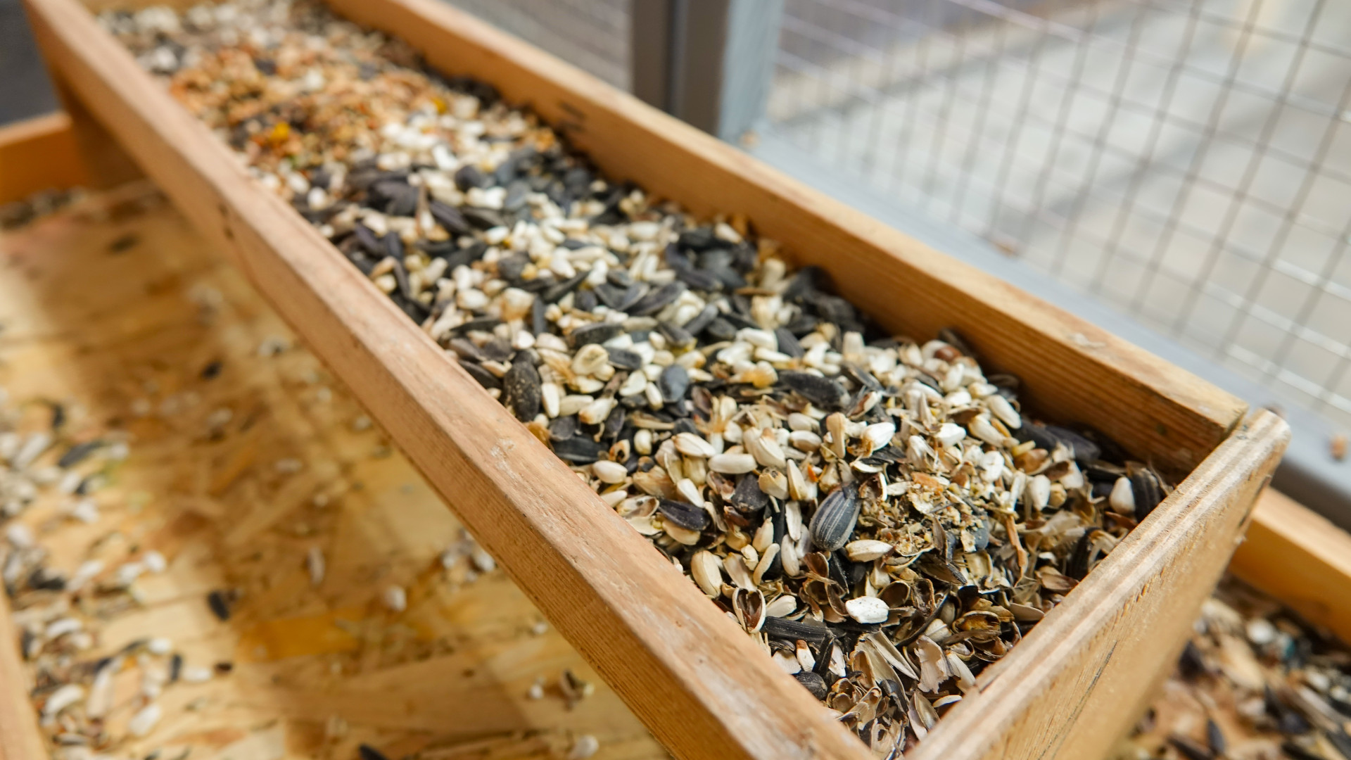 Корм для птиц